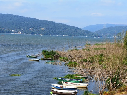 Barques