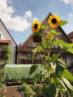 Nördlingen