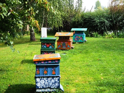 Zalipie - village fleuri