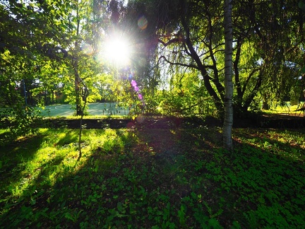 Dans le Park, le Stade athlétisme 
