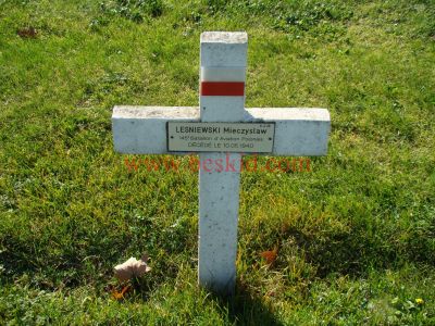 LESNIEWSKI Mieczyslaw
22 ans - célibataire 
Né 09.01.1917 Strupiechow Mazowieckie (PL)
Fils Jozef & Aniela Federowicz
145ème Bataillon Aviation Polonaise
Caporal-Chef - Pilote de chasse
Décès 10.05.1940 Bron (69) 
Lors du bombardement de l'aéroport de Bron 
Estampille D/264
Provenance Lyon-Guillotière 5/3-I-3
Inhumation 26.09.1957 - PV 2247
Carré D - Rang 4 - Tombe 36
MORT POUR LA FRANCE
Copyright Frania
