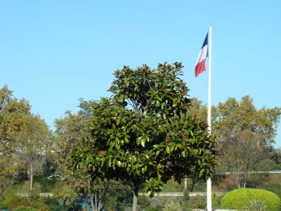 01 Nécropole de la Doua
Copyright Frania
