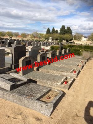 2 - Vue des sépultures
Copyright photo Joseph Lokietek
Copyright Frania
